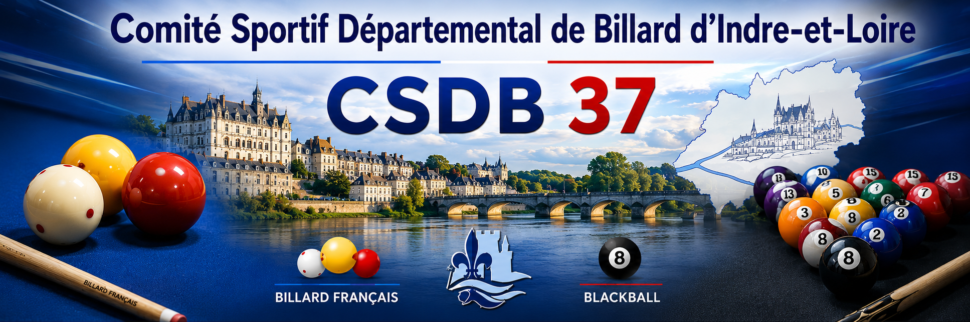 Comité Sportif Départemental de Billard d'Indre et Loire